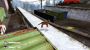 LITTLE CAT TINY STRAYS