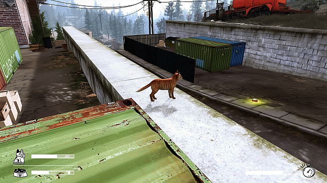 LITTLE CAT TINY STRAYS