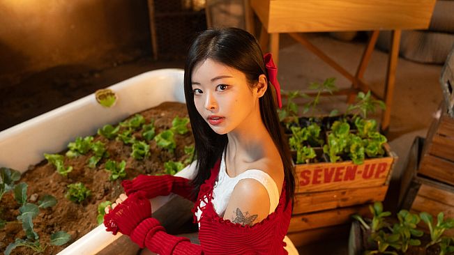 Beauties and the Stranded