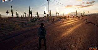 Roadside Store Simulator