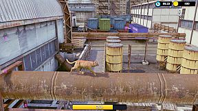 Little Strays: Legacy Edition