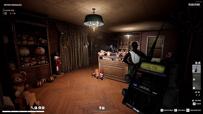 Dark Hours: Anomalies