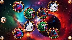 Space Memory: Parrots