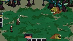 Blind wizard's assistant