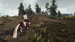 My Horse: Bonded Spirits