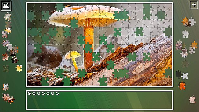 Super Jigsaw Puzzle: Generations - Mushrooms