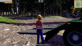 Timber! The Logging Experts