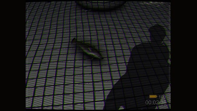 Backrooms: Poolrooms