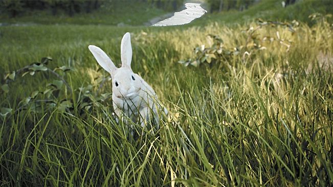 FIRE The First Dreamer