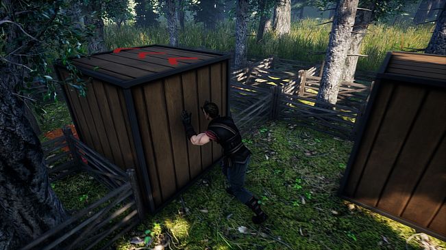 BOXIT Map Forest