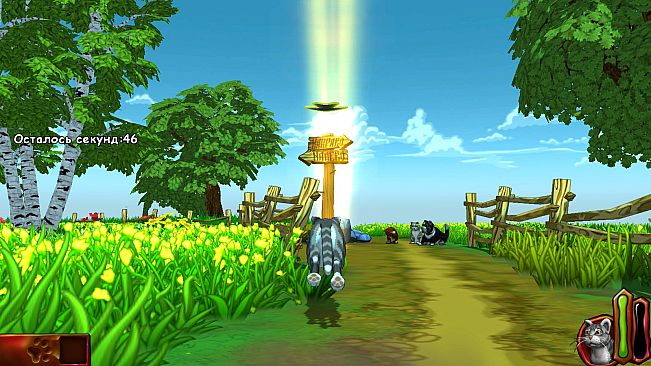 The Cat! Porfirio's Adventure