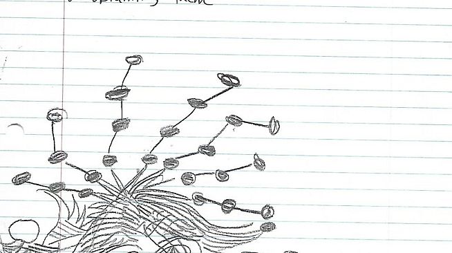 Juice Galaxy: Notebook DLC