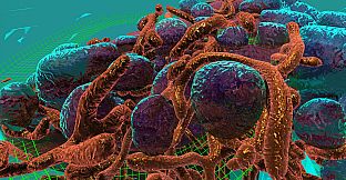 Journey to the Centre of the Cell