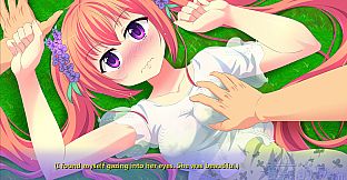 Trajectory of summer flower