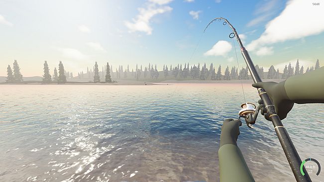 Rogoz Fishing