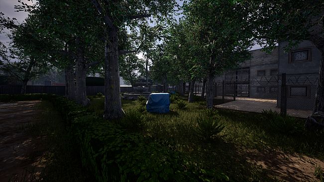 Escape the Scam Compound