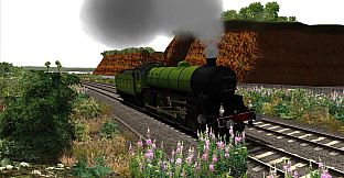 Thompson Class B1 LNER Green Add-on Livery