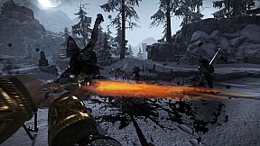 Vermintide - Digital Value Pack