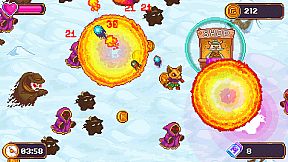 Crazy Cats Survivors