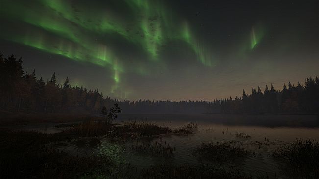 theHunter: Call of the Wild - Revontuli Coast