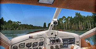 FSX: Steam Edition - Natural Tree Environment X Add-On