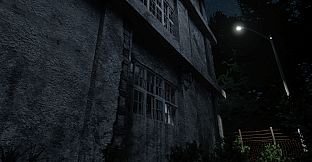 Darkness in the Forest