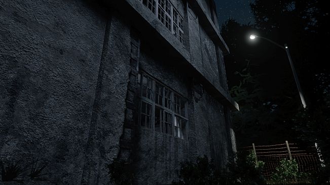 Darkness in the Forest