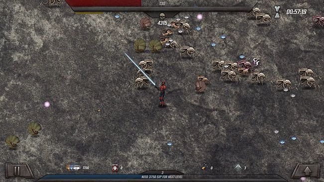 Survivors of the Mare Vitalis