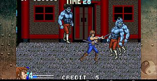 DoubleDragon Advance