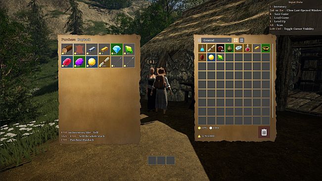 The Wandering Trader