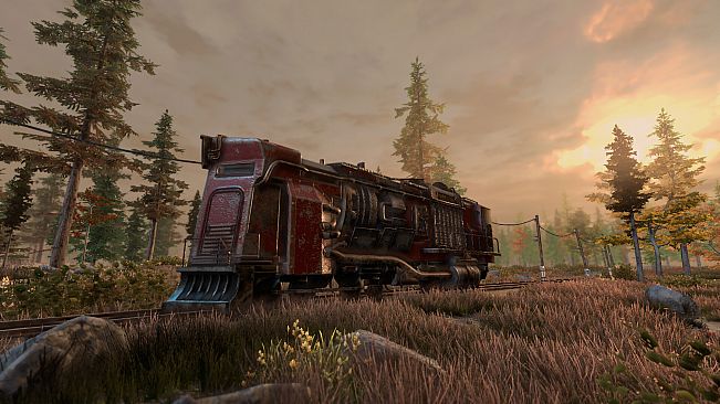 New Cycle - Supporter Pack