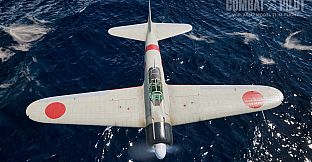 COMBAT PILOT: CARRIER QUALIFICATION