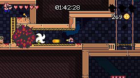 Ammo Pigs: Armed and Delicious