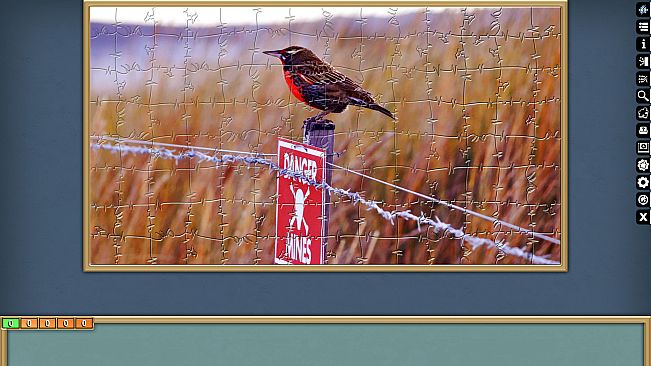 Jigsaw Puzzle Pack - Pixel Puzzles Ultimate: PP2 Birds