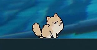 Your Cat