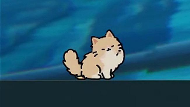 Your Cat