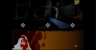 what did the chicken see