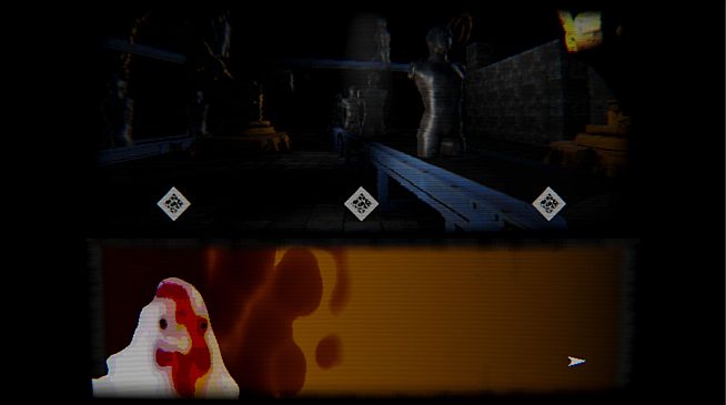 what did the chicken see