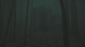 Descending The Woods