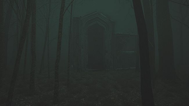 Descending The Woods