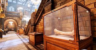 Virtual Heritage Tour: VR Museum Adventure