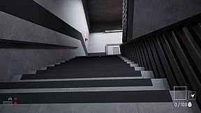 A Chicken In The Office