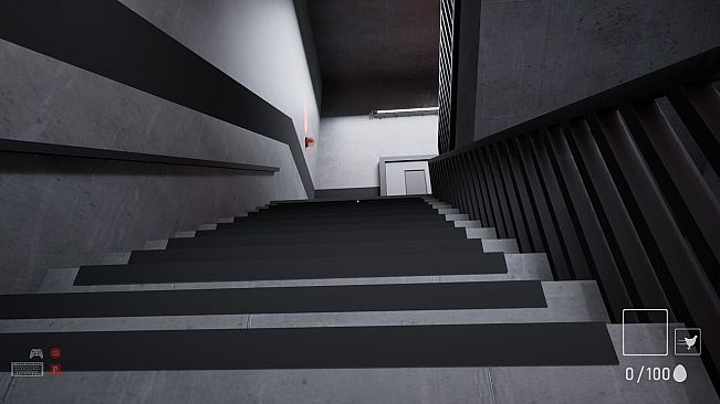 A Chicken In The Office