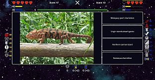 I've Seen Everything - More Animals