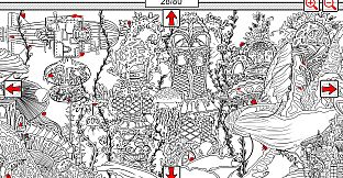 SEARCH ALL - SEASHELLS