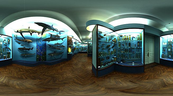 Cubemaps for Clip maker