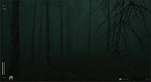 Descending The Woods