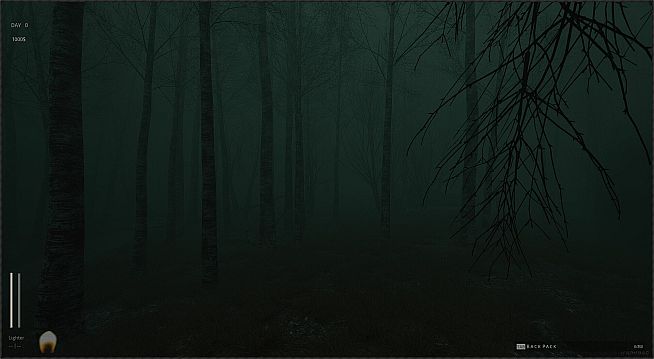 Descending The Woods