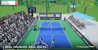 Pickleball Pro