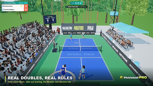 Pickleball Pro